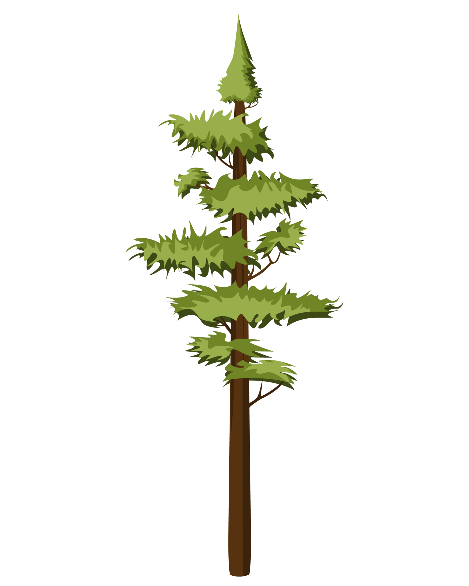 Free Pino Alto En Estilo Realista. Árbol De Abeto De Coníferas De ... throughout Pine