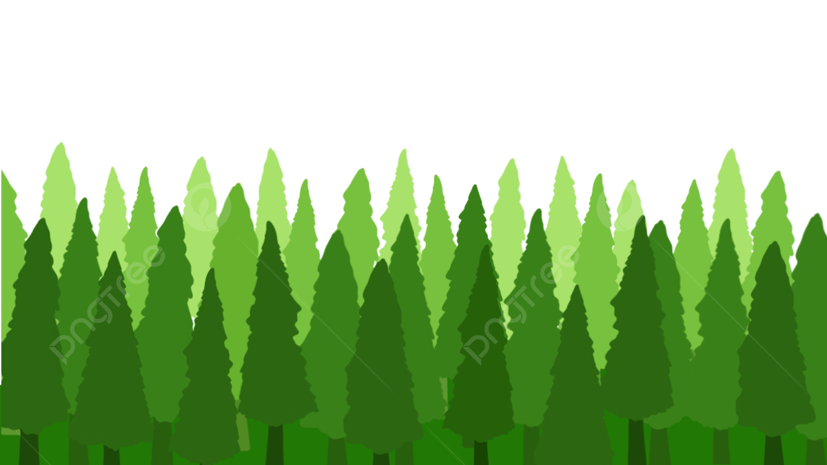 Green Pine Trees Forest, Pine Tree, Forest, Tropical Png Transparent ... throughout Pine