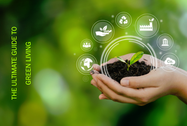 The Ultimate Guide To Green Living | Sustainable Living Practices in