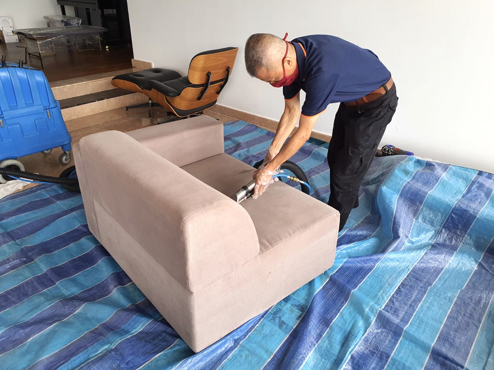 Why Your Sofa Might Be A Hotspot For Germs And Bacteria with