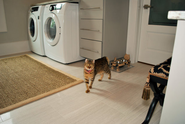 A Laundry Makes Room For A Diva Cat with regard to Your Cat's Guide to a Cozy Laundry Space