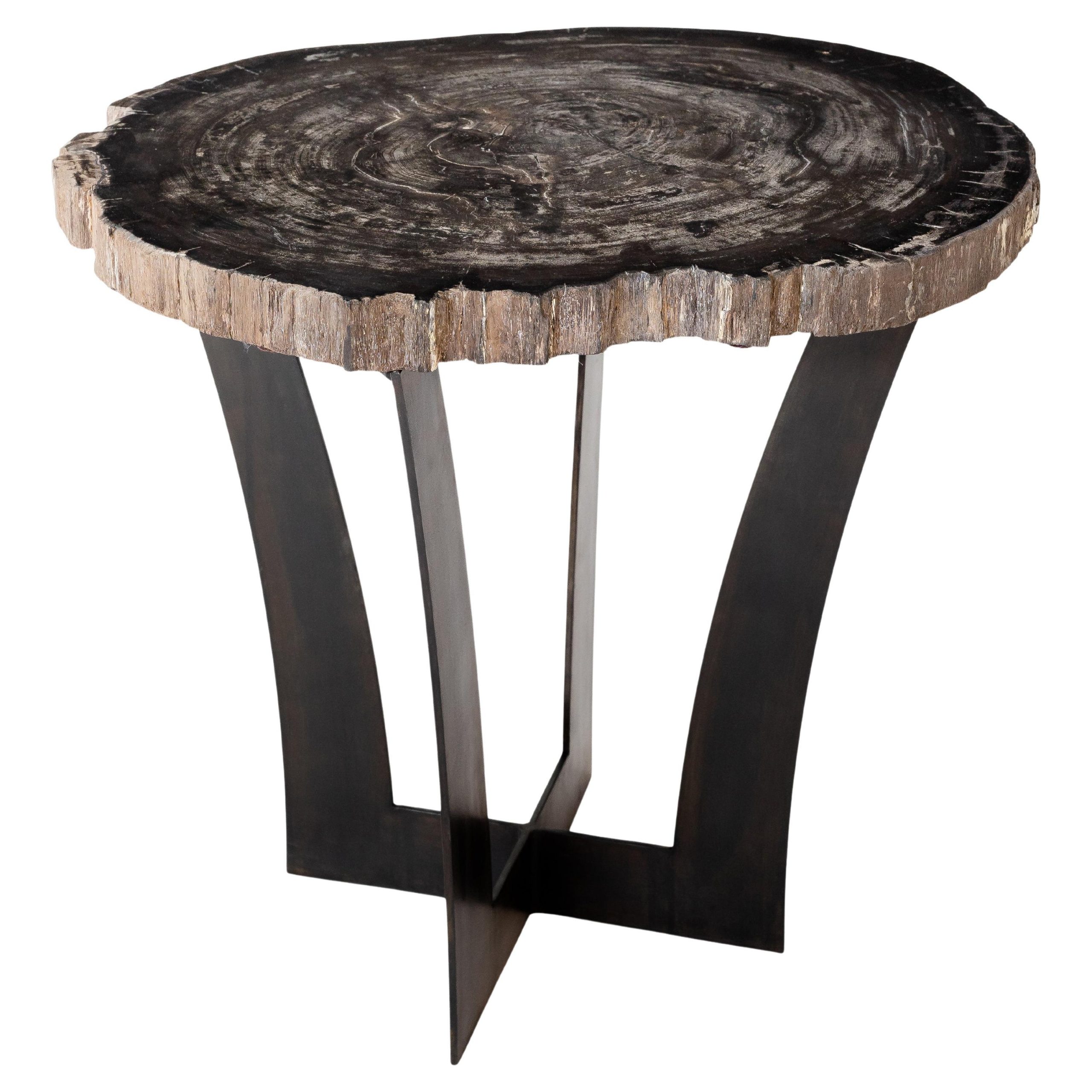 Custom Petrified Wood Slab Accent Table With Brass Base For Sale At 1Stdibs for Elegant Minimalist Natural Petrified Wood Accent Table Stone Slab Black Tripod
