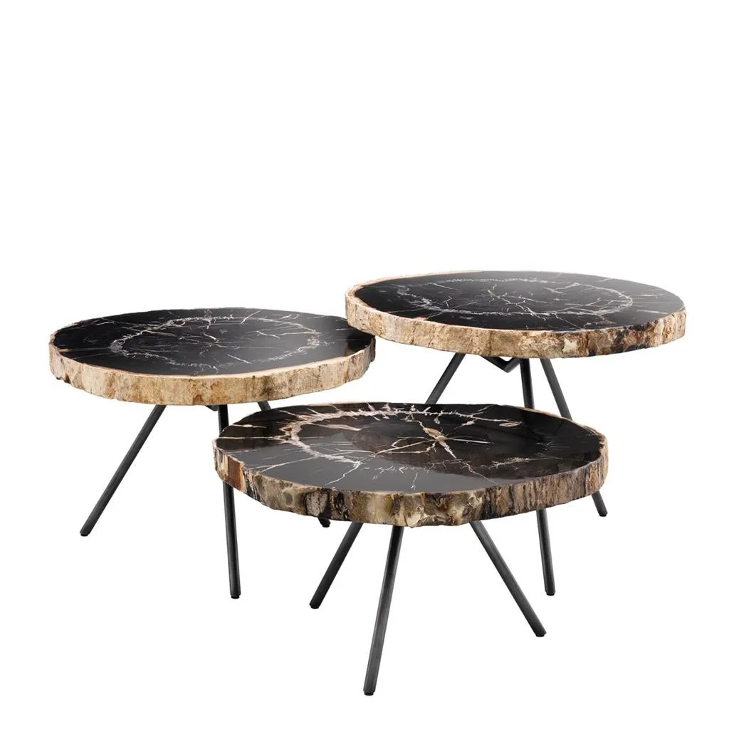 Natural Shape Black Petrified Wood Stone Coffee Table - Buy Petrified ... for Elegant Minimalist Natural Petrified Wood Accent Table Stone Slab Black Tripod